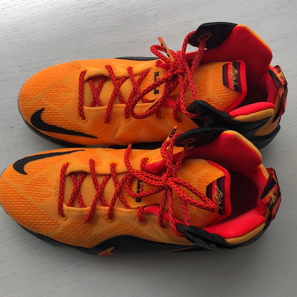 Lebron James Nike Basketball Shoes 6.5 Us
